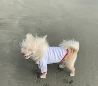 Profile gallery Profile gallery