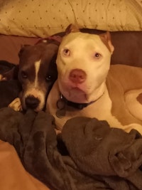 Profile gallery Profile gallery