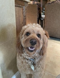 Profile gallery Profile gallery