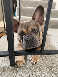 Profile gallery Profile gallery