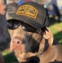 Profile gallery Profile gallery