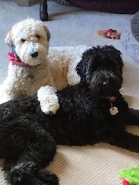 Profile gallery Profile gallery