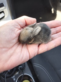 Profile gallery Profile gallery