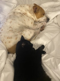 Profile gallery Profile gallery